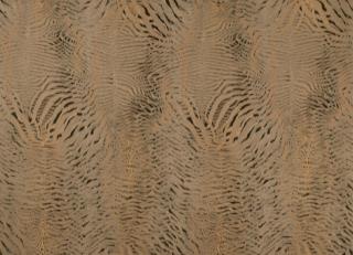 Фото - Ткани Osborne & Little Sketchbook - 446456>