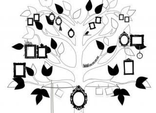 Фото - Обои Mr Perswall Hide&Seek - 234863>