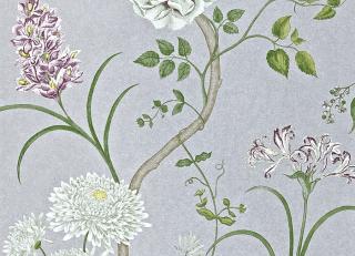 Фото - Обои Sanderson A Painter's Garden - 203959>