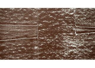 Фото - Обои La Scala Milano Opera II - 411242>