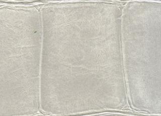 Фото - Обои Elitis Anguille - 257734>