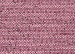 Фото - Ткани Clarke&Clarke Casanova - 295829>