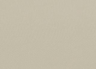 Фото - Ткани Faboie Plain VIII - 584155>