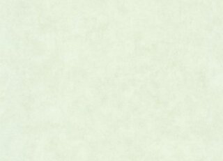 Фото - Обои Caselio Beton 2 - 631927>