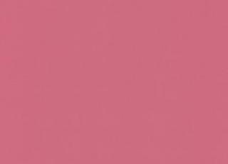 Фото - Обои Sandberg Frank - 351331>