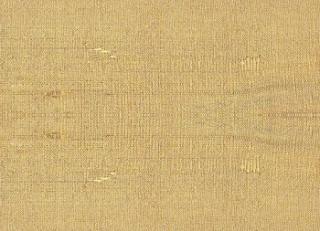 Фото - Ткани Дом CARO Silk Bombay - 533355>