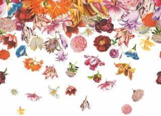 Фото - Обои Hohenberger Tropical - 545127>