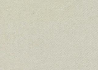 Фото - Ткани Holland & Sherry Patagonia - 524950>