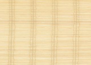 Фото - Ткани CMO Paris Palm Tree 2 - 551139>