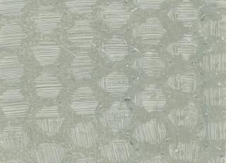 Фото - Обои Holland & Sherry O&A Caledonia Collection - 428299>