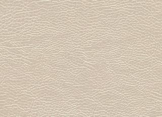 Фото - Ткани Designers Guild Kalahari - 261373>