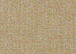 Фото - Ткани Camengo Into the Wild - 517040>