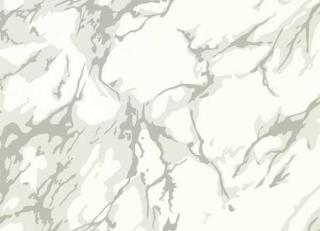 Фото - Обои Zoffany Cotswolds Manor Wallpapers - 539979>