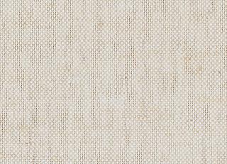 Фото - Обои Phillip Jeffries All Wound Up II - 519946>