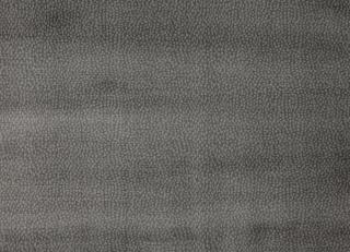 Фото - Ткани Mark Alexander Metropolis - 271445>