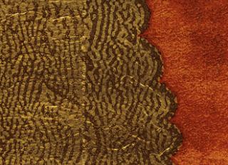 Фото - Обои Elitis Mille millions - 262050>