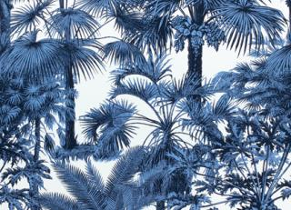 Фото - Ткани Thibaut Tropics - 529837>