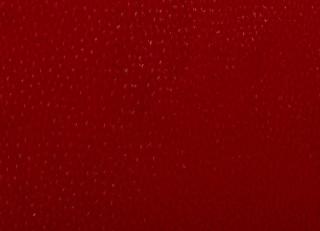 Фото - Аксессуары Pavoni Кожа Razza - 588896>