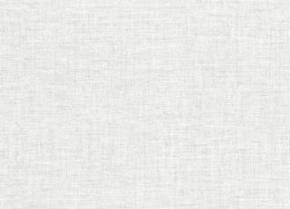 Фото - Обои Sirpi Altagamma Tisse - 568815>