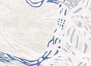 Фото - Ковры Tapis Rouge Fabulous - 590045>