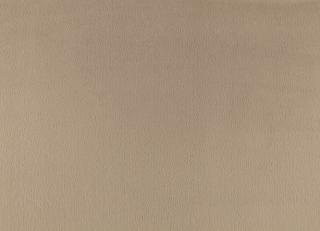 Фото - Ткани Zinc Drake - 565520>