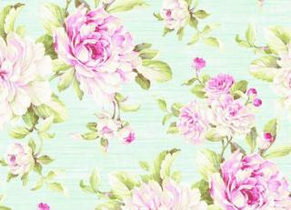 Фото - Обои Seabrook Garden Rose - 356667>