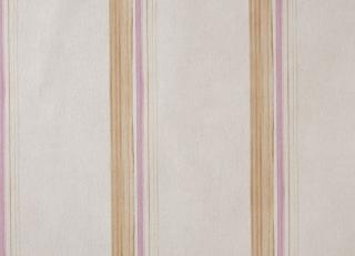 Фото - Обои Caselio Curiosity - 223615>