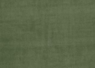 Фото - Ткани Clarke&Clarke Alvar - 295574>