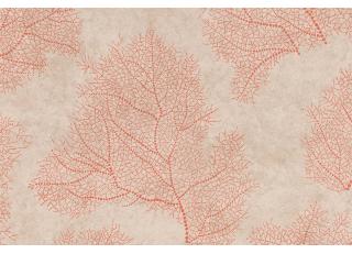 Фото - Обои Emil&Hugo Moana - 572952>