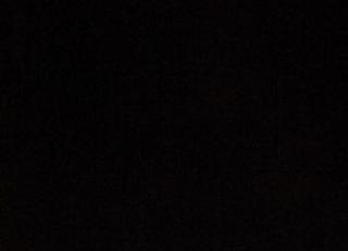 Фото - Ткани Дом CARO Lange - 533069>