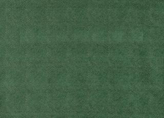 Фото - Ткани Jane Churchill Gustav - 572222>