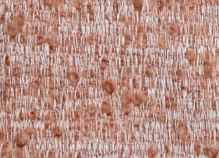 Фото - Ткани Astrid Torno - 499390>