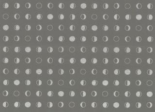 Фото - Обои York Wallcoverings Culture Club - 443504>