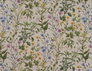 Фото - Ткани Studio G Country Garden - 513173>