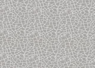 Фото - Ткани Espocada Evolution - 412526>