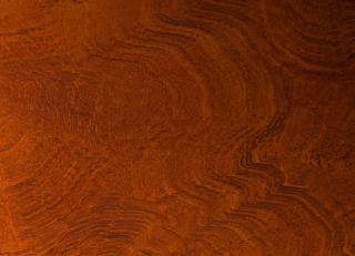 Фото - Обои Emil&Hugo Contempo  - 572845>