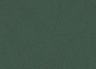 Фото - Обои Eijffinger Embrace - 579771>