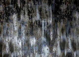 Фото - Ткани Misia La Closerie des Lilas - 450558>