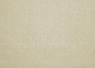 Фото - Обои Zimmer + Rohde Reflection - 350865>