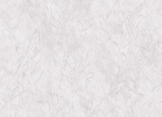 Фото - Обои Coordonne Geo - 559149>