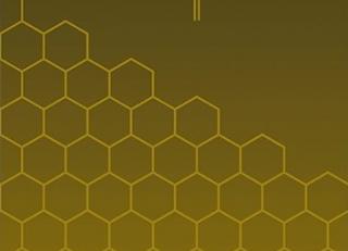 Фото - Ковры JAB Anstoetz Urban Jungle by GRAFT - 577334>