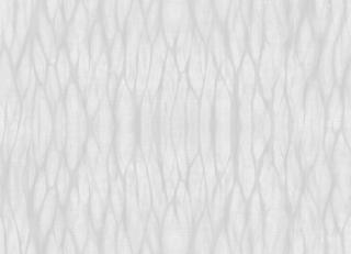 Фото - Обои Ich Dans Lemur Aura - 440811>