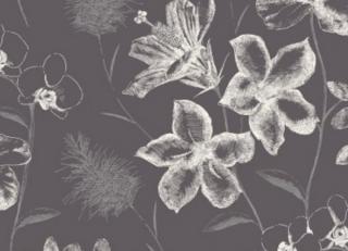 Фото - Обои Blendworth Conversation - 188488>