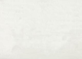 Фото - Ткани Zinc Husky - 385749>