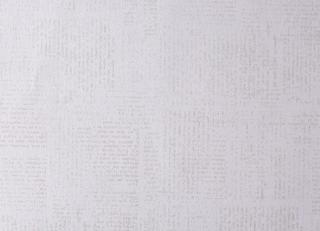 Фото - Обои Caselio Curiosity - 223598>