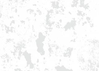 Фото - Обои Parato Cristiana Masi Contract - 514790>