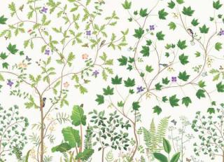 Фото - Обои Sanderson Arboretum - 565743>