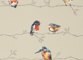 Фото - Обои Harlequin Standing Ovation - 313067>