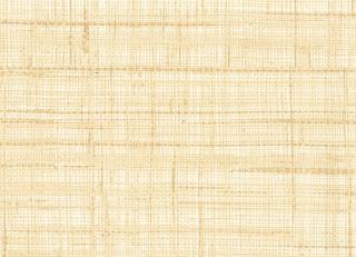 Фото - Обои Rubelli Paja Wall - 557960>