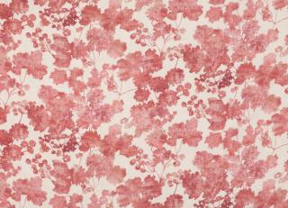 Фото - Ткани Romo Danton - 456864>